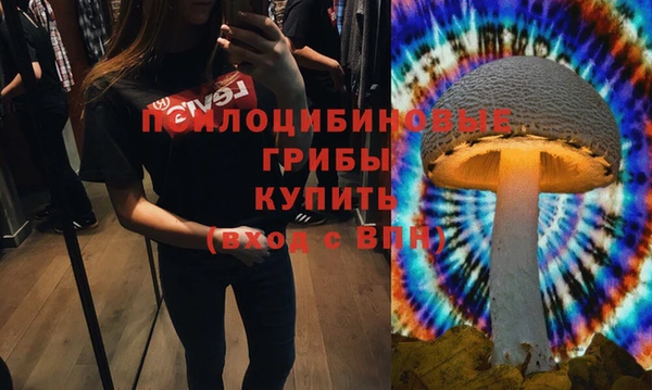 дмт Бронницы