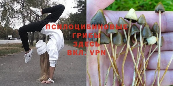 круглые Верея