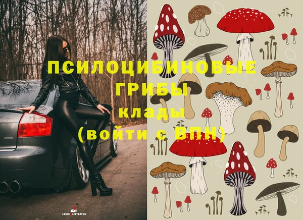 круглые Верея