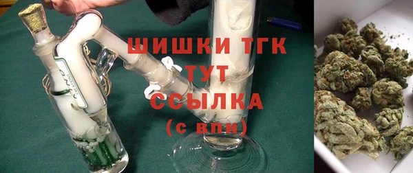 гидра Саяногорск
