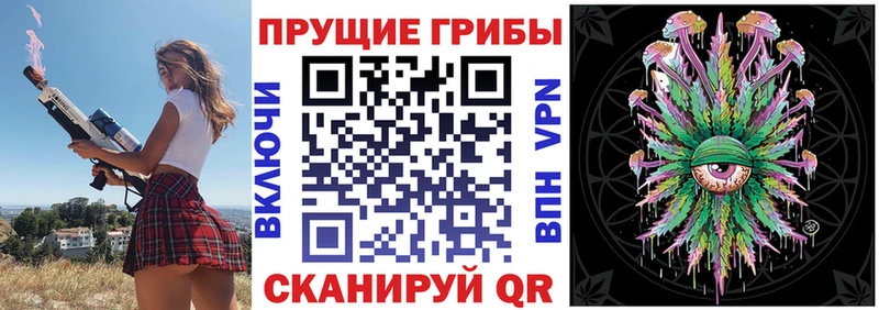 дарк нет как зайти  Ершов  Псилоцибиновые грибы Cubensis 